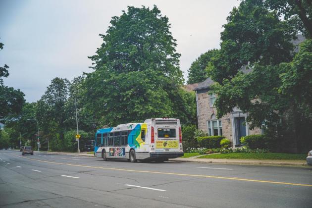 Photo de la ligne bus 66 sur la rue Edgehill, crédit Simon Laroche