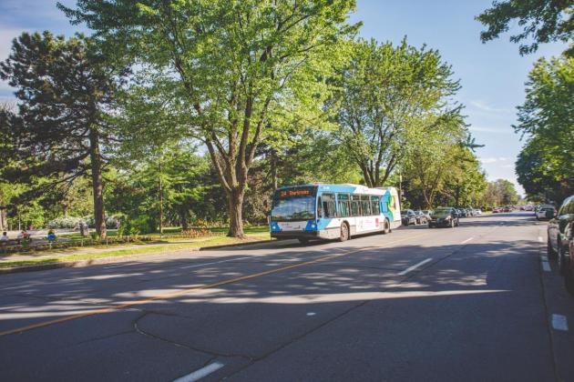 Photo du Parc Westmount, crédit Simon Laroche.